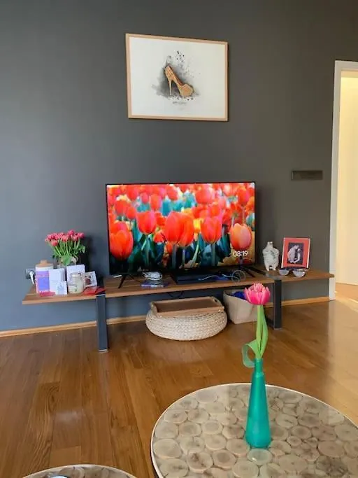 Large 2-Bedroom Centre Art Apartment Sofia