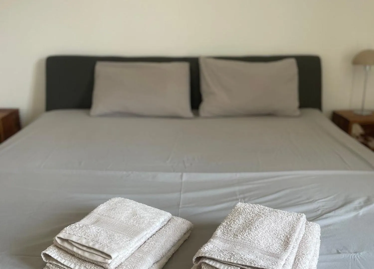 Large 2-Bedroom Centre Art Apartment Sofia